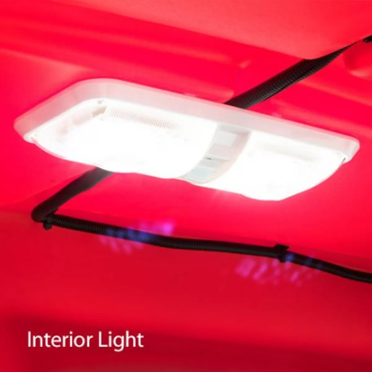 Feature-Interior-Lights